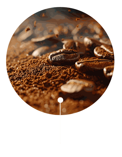 LESPERIENZA E SOLIDA CON IL CAFFE 02 LESPERIENZA E SOLIDA CON IL CAFFE 02