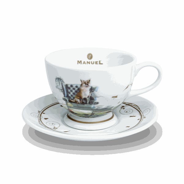 Tazza da te Incanto del te