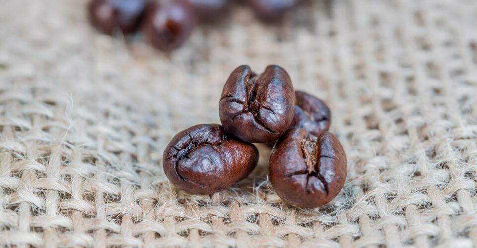 PEABERRY 03 e1753883326205 PEABERRY 03 e1753883326205